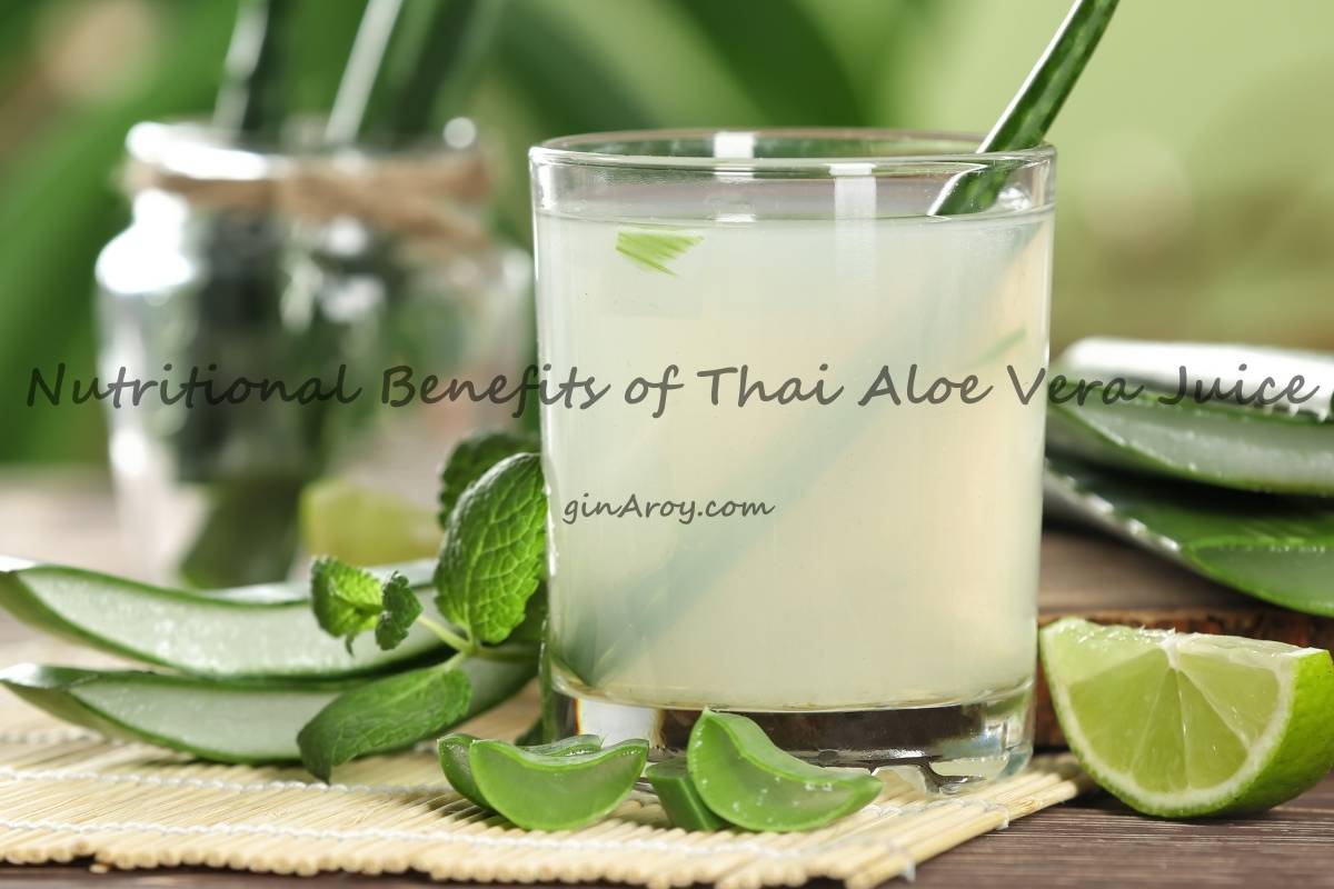 Nutritional Benefits of Thai Aloe Vera Juice