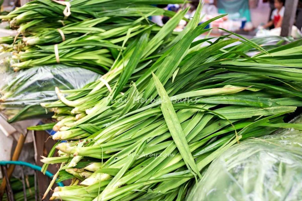 Thai Herbal Baths