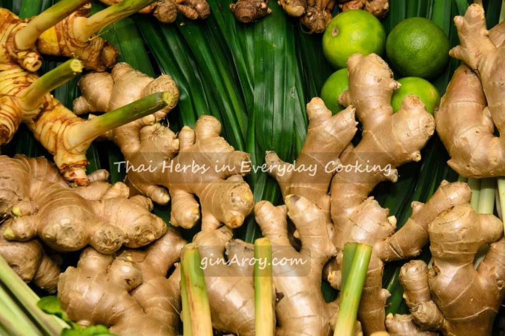 Thai Herbs in Everyday Cooking