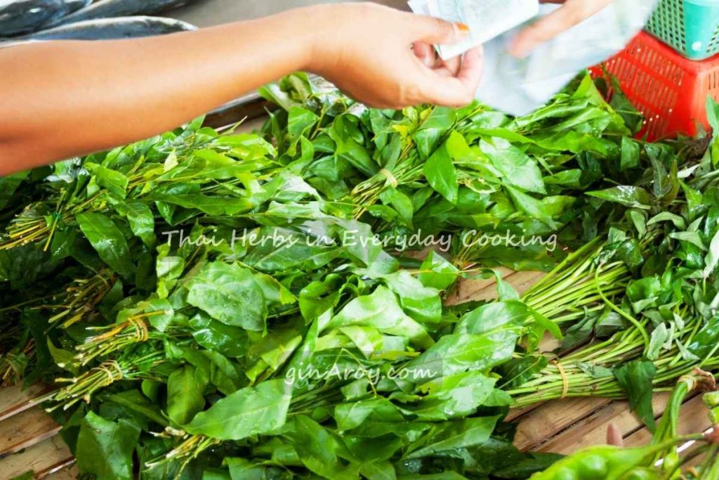 Thai Herbs in Everyday Cooking
