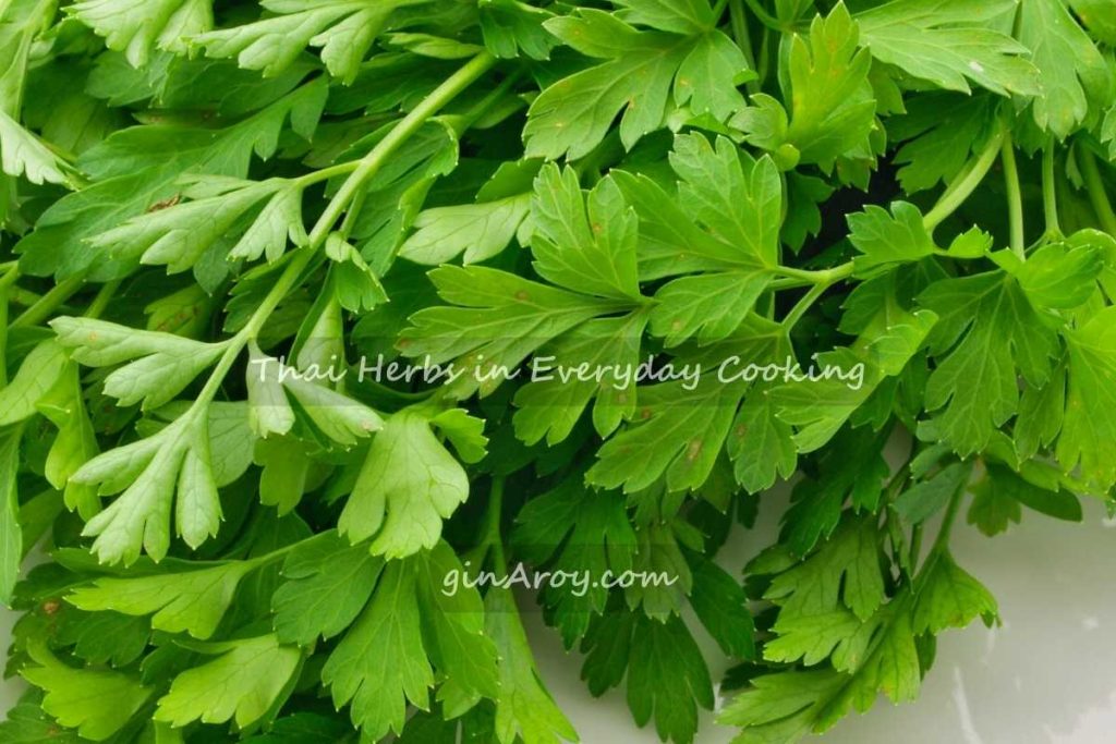 Thai Herbs in Everyday Cooking