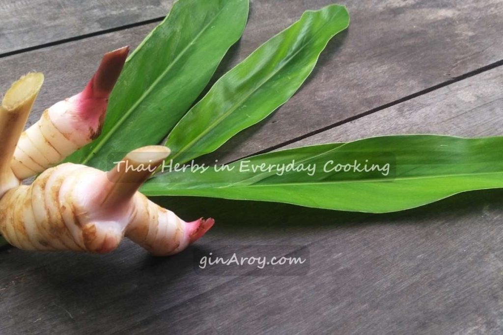 Thai Herbs in Everyday Cooking