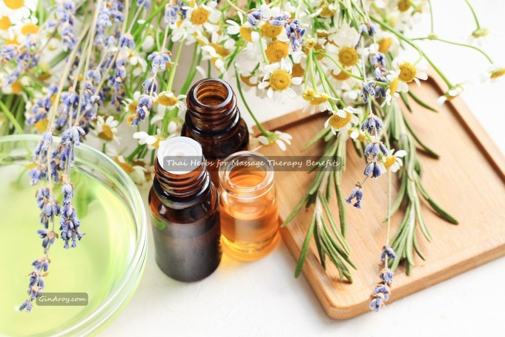 Thai Herbs for Massage Therapy Benefits