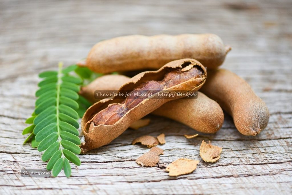 Thai Herbs for Massage Therapy Benefits