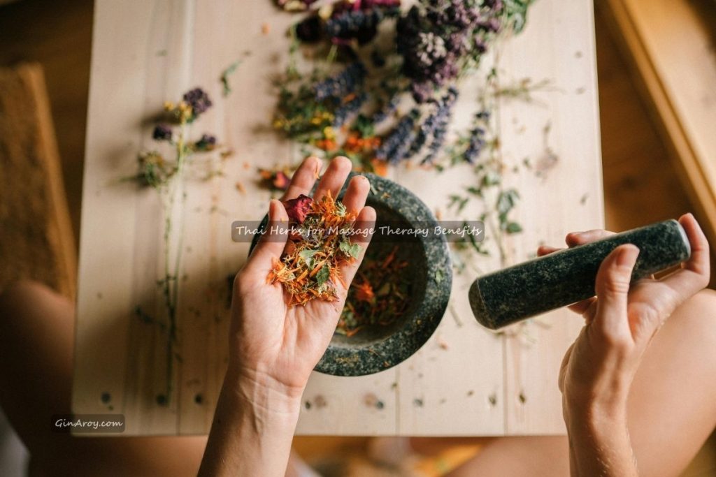 Thai Herbs for Massage Therapy Benefits