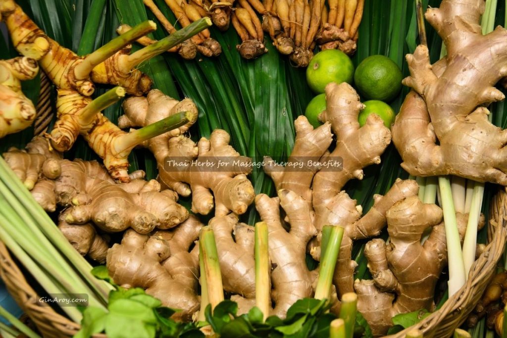 Thai Herbs for Massage Therapy Benefits