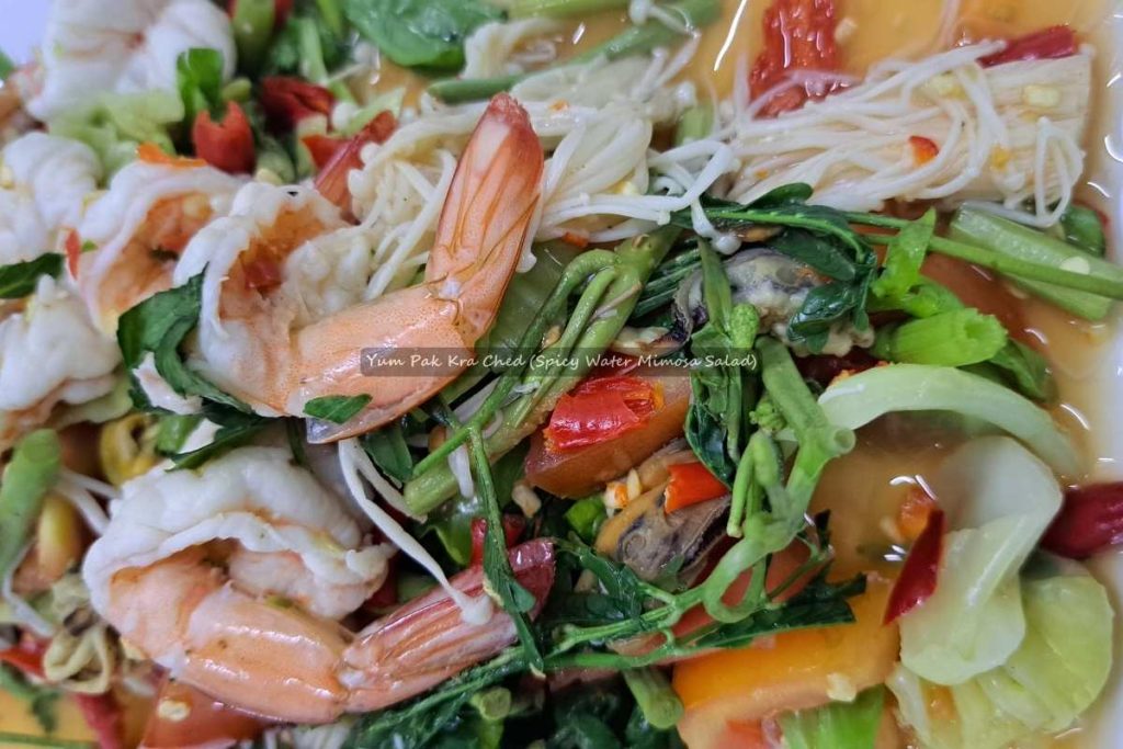 Yum Pak Kra Ched (Spicy Water Mimosa Salad)