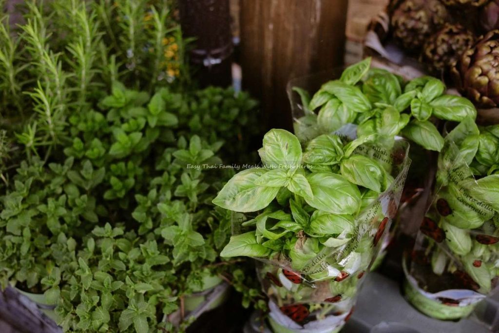 Easy Thai Family Meals With Fresh Herbs